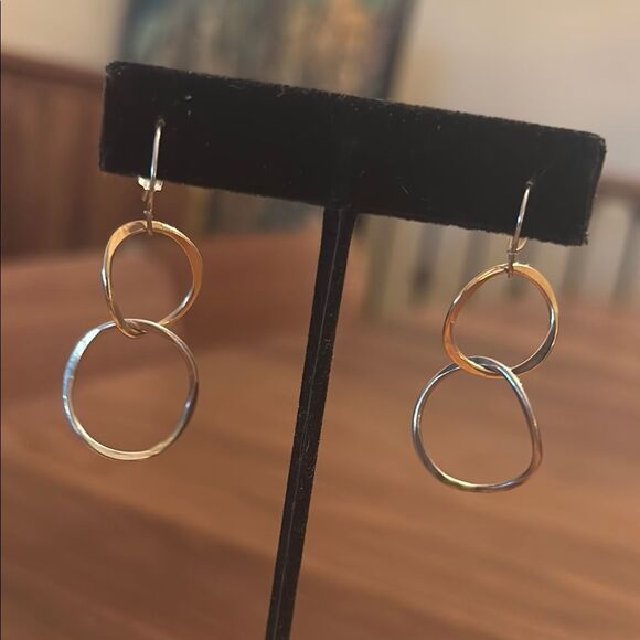 Elegant Gold and Silver Hoop Earrings - Picture 1 of 4